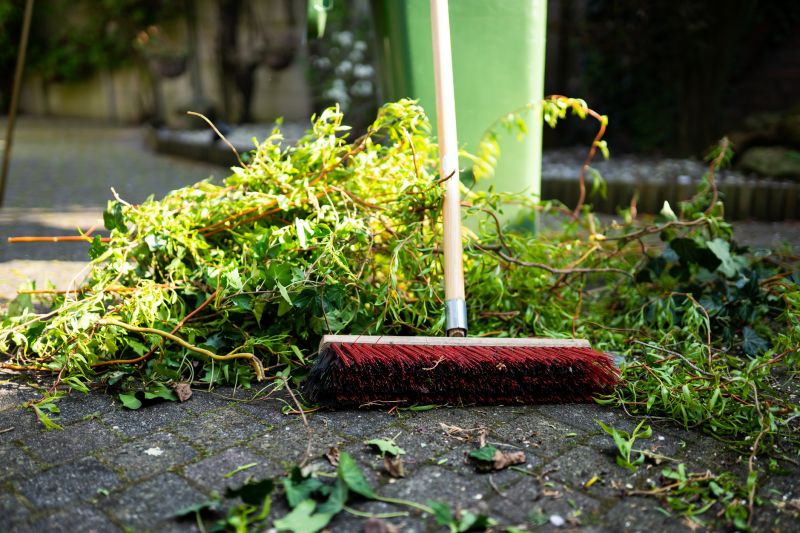 Brush Cleanup Service in Ventura County, CA