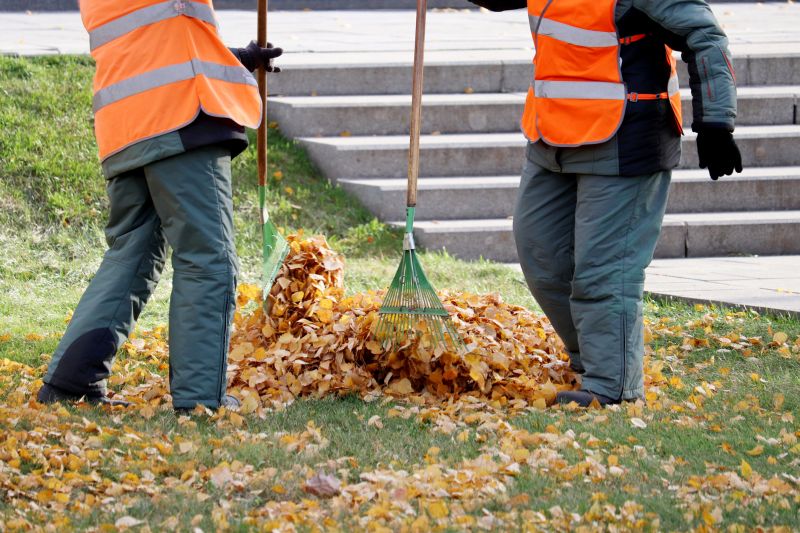 Commercial Leaf Removal in Ventura County, CA