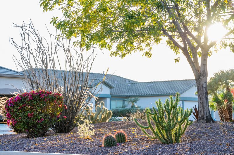 Dryscape Landscaping in Ventura County, CA