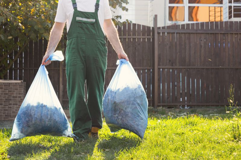 Lawn Debris Cleanup in Ventura County, CA