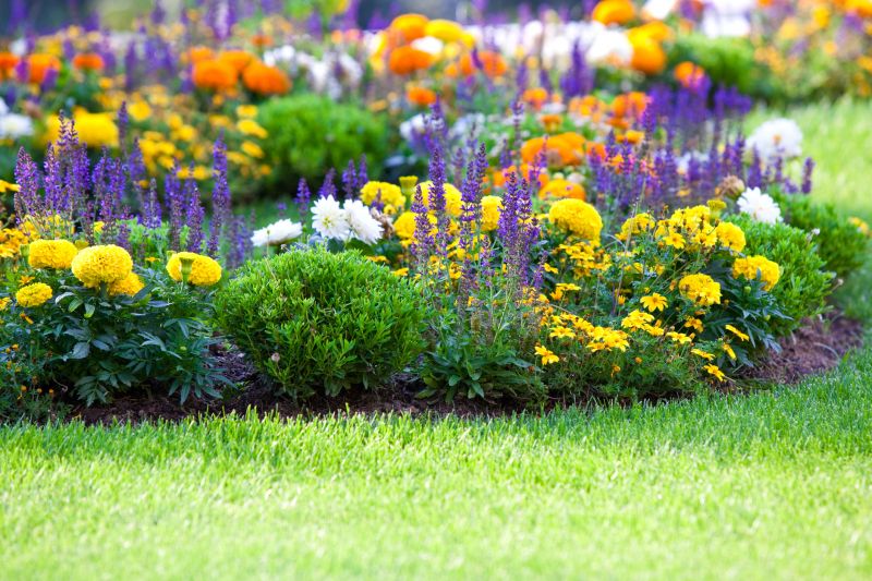 Perennials Planting in Ventura County, CA