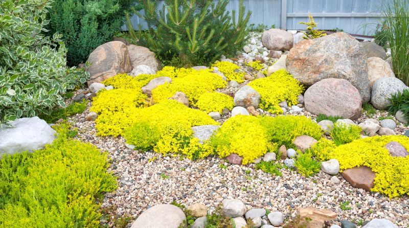Rock Landscape Design in Ventura County, CA