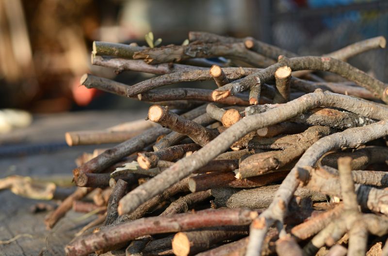 Wood Pile Removal