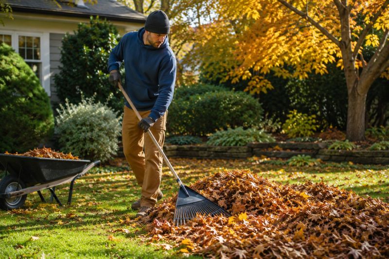 Autumn Leaf Removal in Honolulu, HI