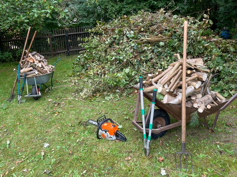 Brush Cleaning Service in Ventura County, CA