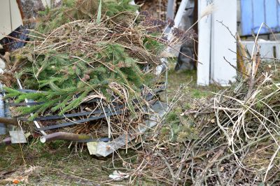 Brush Cleaning Service in Ventura County, CA