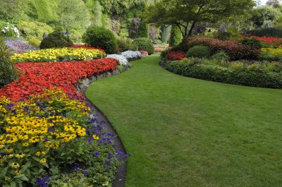 Commercial Landscape Design in Honolulu, HI