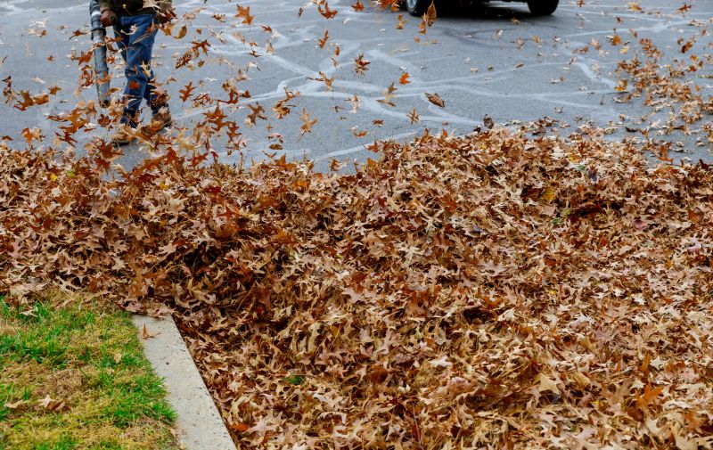 Commercial Leaf Removal in Ventura County, CA