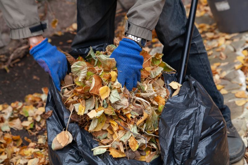 Commercial Leaf Removal in Ventura County, CA