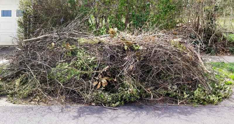 Cost of Wood Pile Removal — Cost of Wood Pile Removal