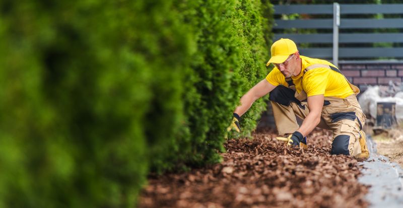 Cypress Mulch Installation in Honolulu, HI