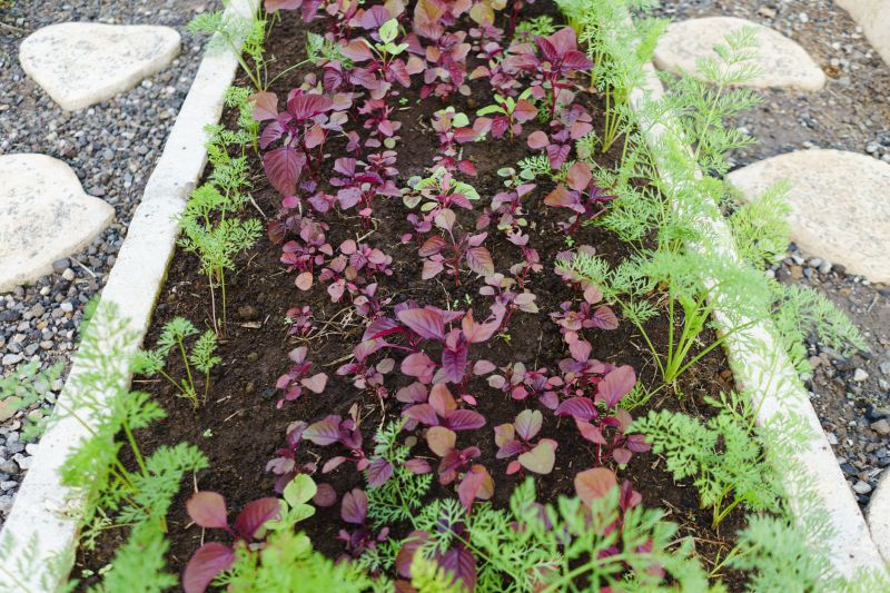 Flowerbed Curbing Installation in Honolulu, HI