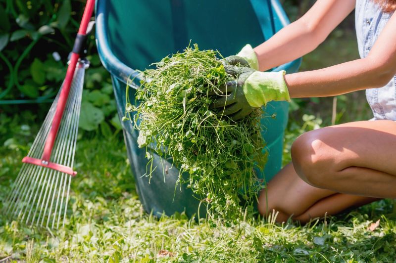 Garden Cleanup Service in Honolulu, HI