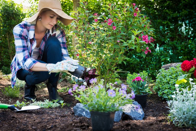 Ground Cover Planting in Honolulu, HI