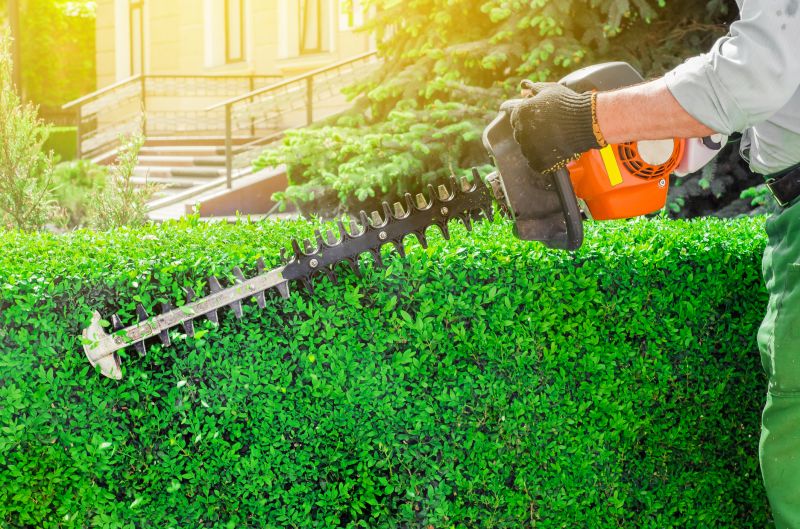 Hedge Pruning in Honolulu, HI