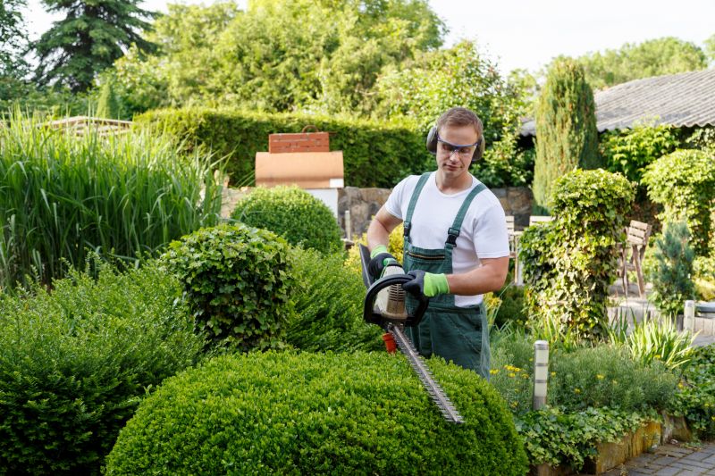 Hedge Removal Service in Honolulu, HI