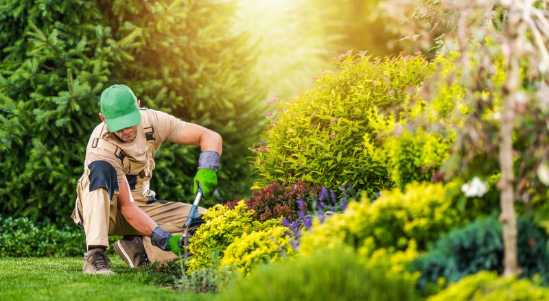 Home Gardening Service in Ventura County, CA