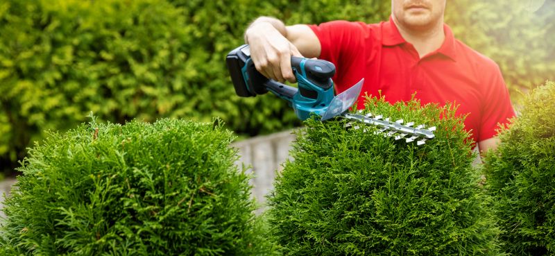 Landscape Pruning Service in Honolulu, HI