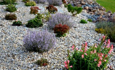 Landscaping Installation in Honolulu, HI