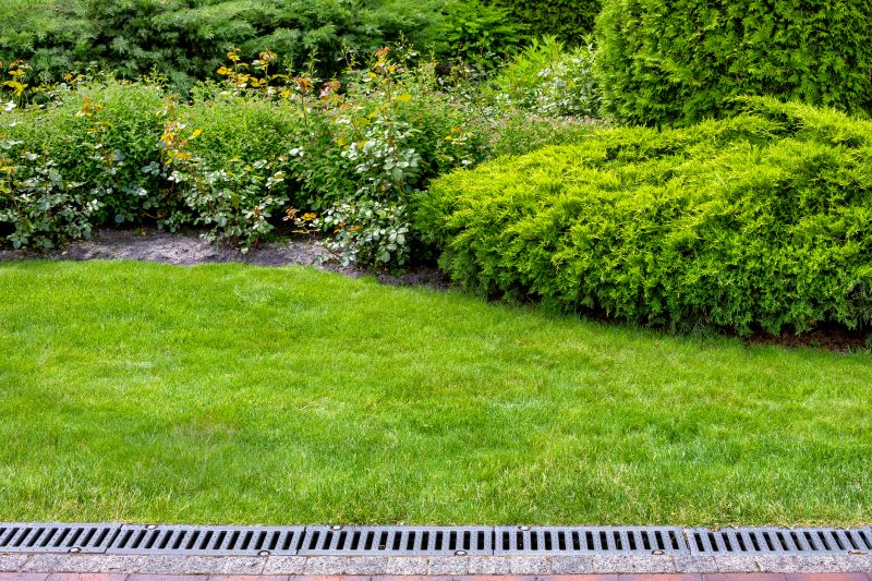 Lawn And Garden Installation in Ventura County, CA