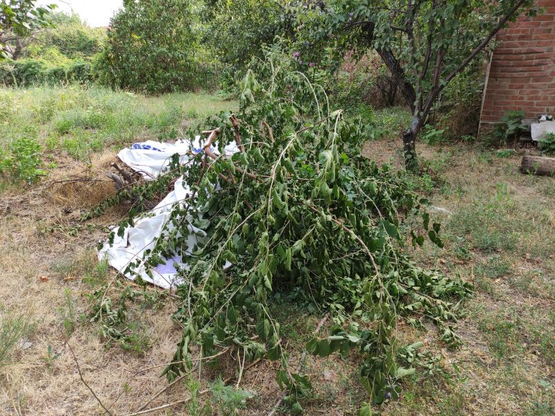 Lawn Debris Cleanup in Ventura County, CA
