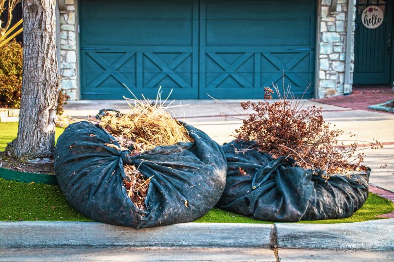Lawn Debris Cleanup in Ventura County, CA