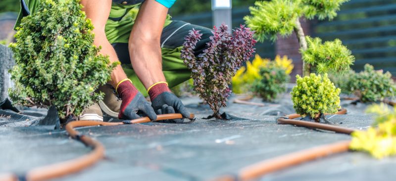 Mulch Installation in Ventura County, CA