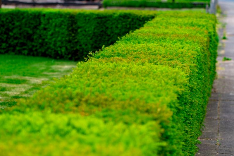 Pathway Landscaping in Honolulu, HI