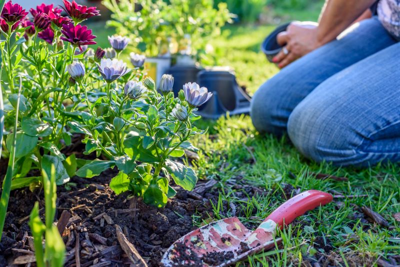 Perennial Landscaping in Ventura County, CA