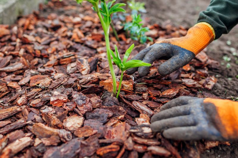 Pine Bark Mulch Installation in Honolulu, HI