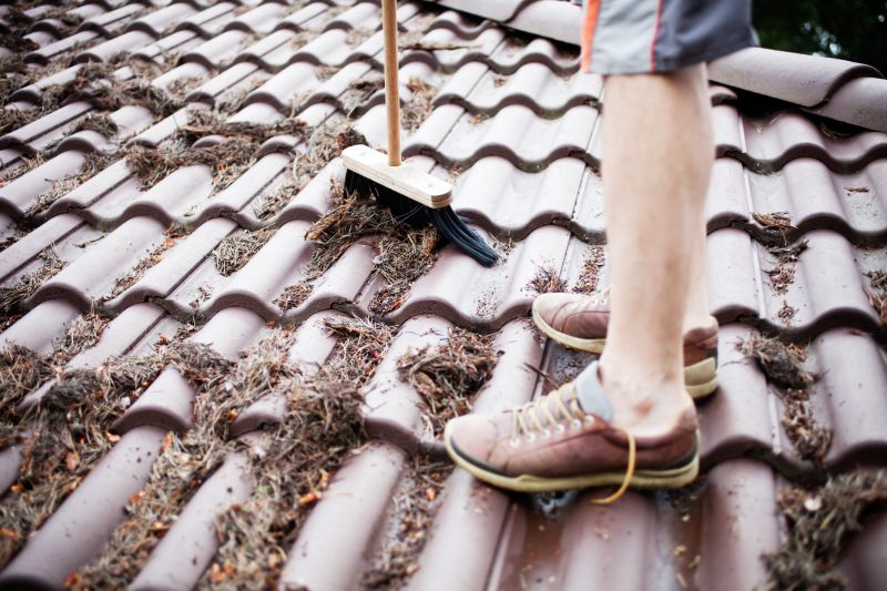 Pine Needles Removal in Honolulu, HI