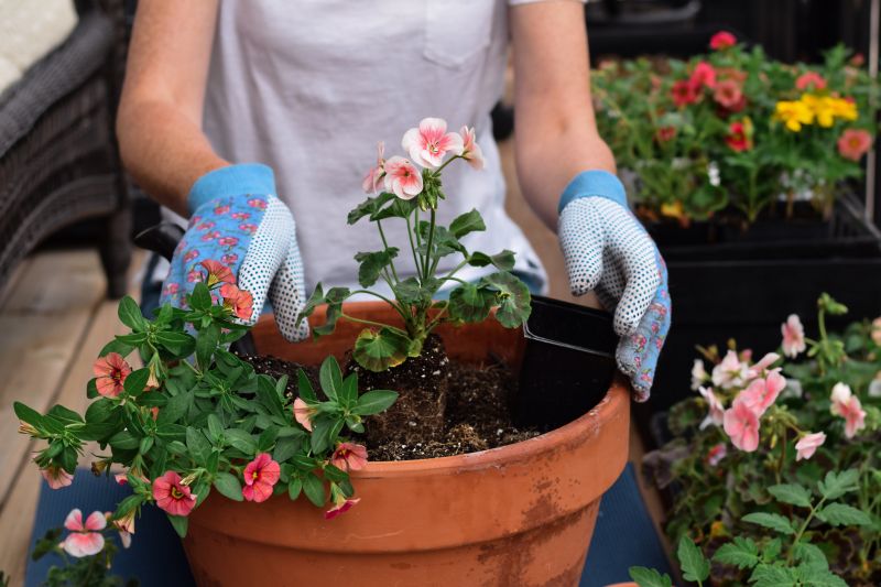 Planting Service in Ventura County, CA