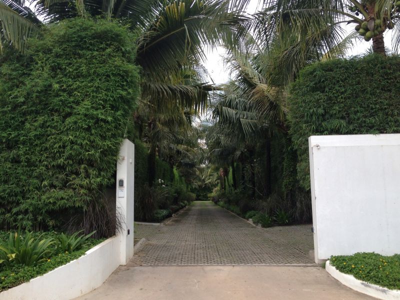 Privacy Shrub Planting in Honolulu, HI