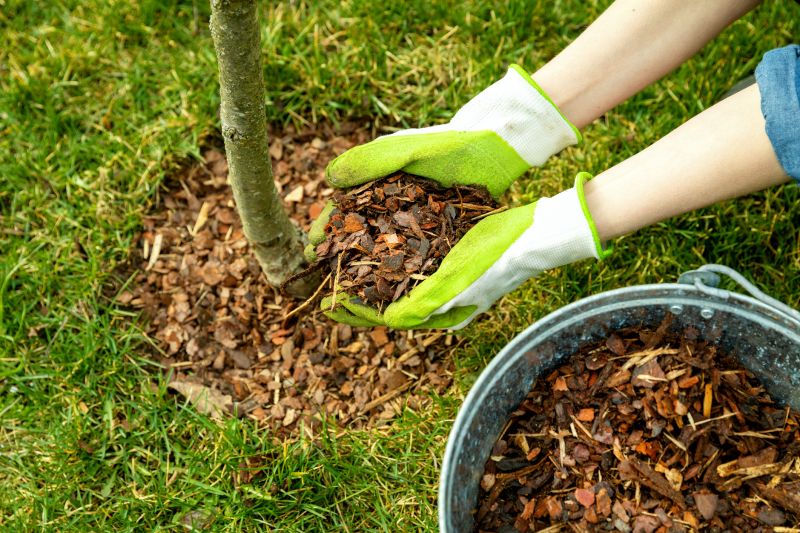 Shredded Mulch Installation in Honolulu, HI
