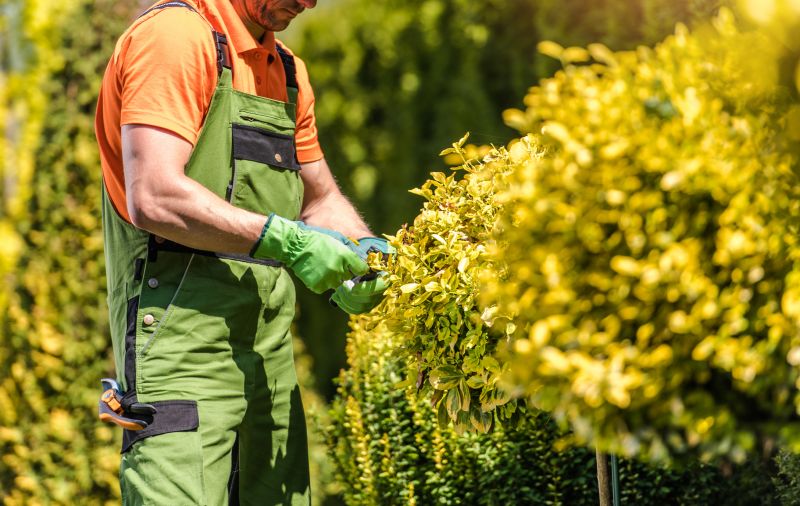 Shrub Pruning in Honolulu, HI