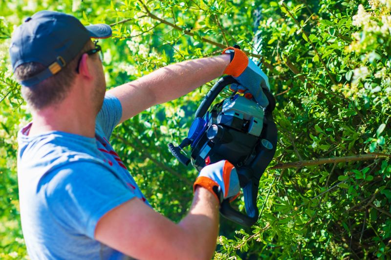 Shrub Trimming in Honolulu, HI