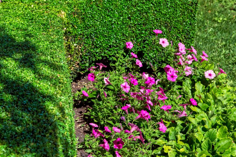 Softscaping Service in Honolulu, HI