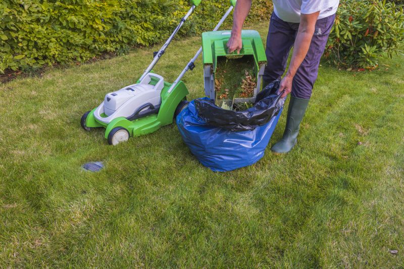 Spring Lawn Cleanup in Ventura County, CA