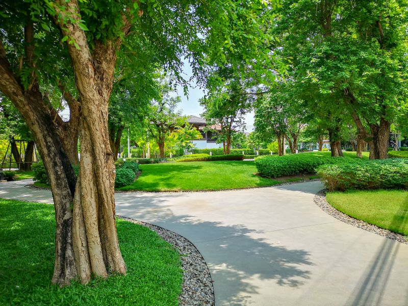 Tree Curbing Installation in Honolulu, HI