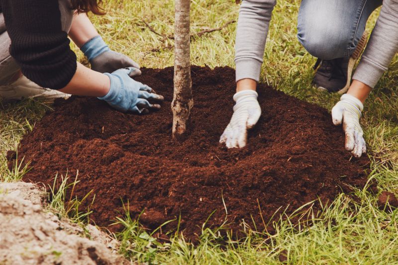 Tree Installation Service in Ventura County, CA