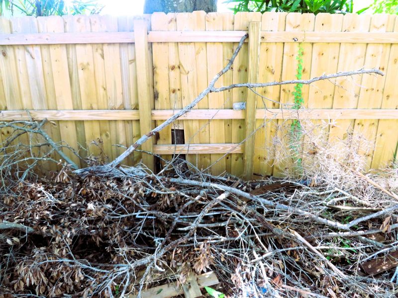 Tree Limb Cleanup in Ventura County, CA