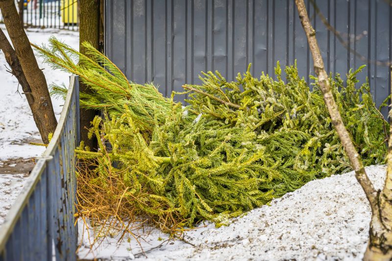 Who Does Wood Pile Removals