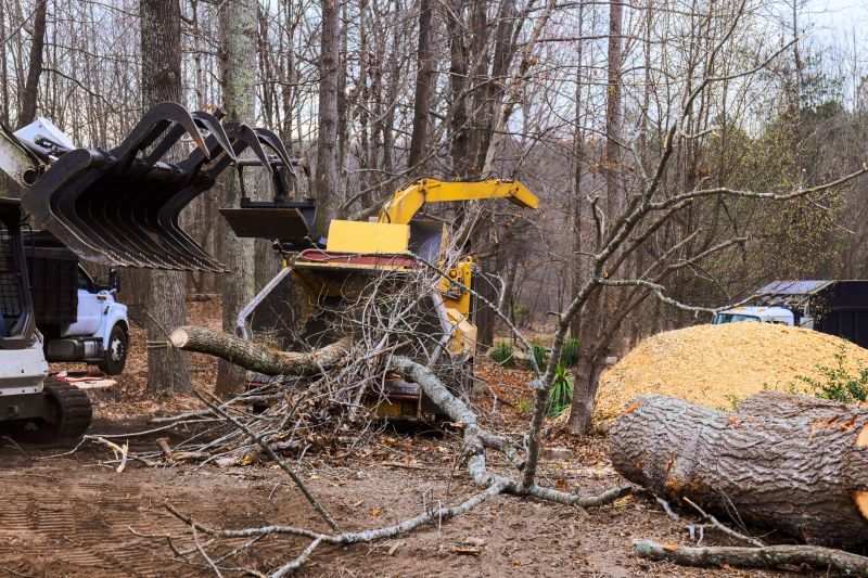 Equipment Used in Wood Pile Removal
