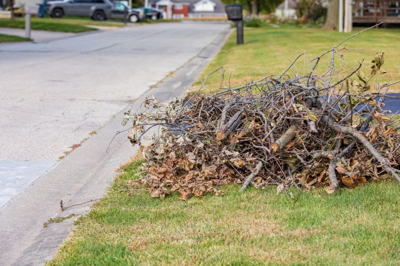 Yard Debris Removal in Honolulu, HI